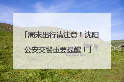 周末出行请注意！沈阳公安交警重要提醒！