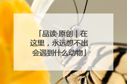 品读·原创｜在这里，永远想不出会遇到什么动物