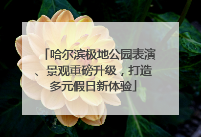 哈尔滨极地公园表演、景观重磅升级，打造多元假日新体验