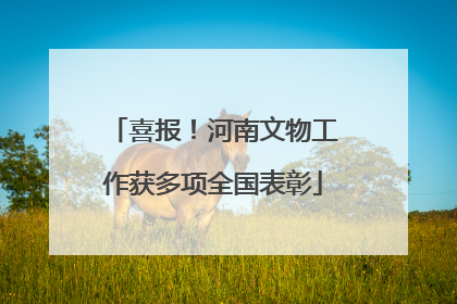 喜报！河南文物工作获多项全国表彰
