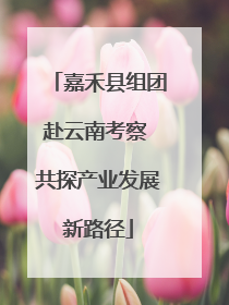 嘉禾县组团赴云南考察 共探产业发展新路径
