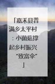 嘉禾县普满乡太平村：小菌菇撑起乡村振兴“致富伞”