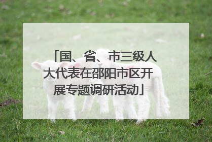 国、省、市三级人大代表在邵阳市区开展专题调研活动