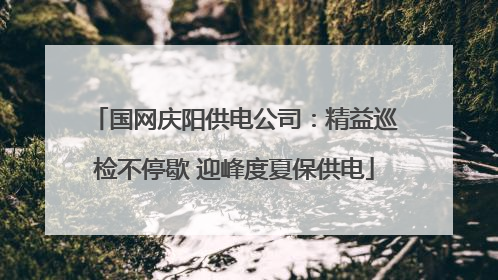 国网庆阳供电公司：精益巡检不停歇 迎峰度夏保供电