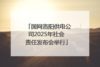 国网洛阳供电公司2025年社会责任发布会举行