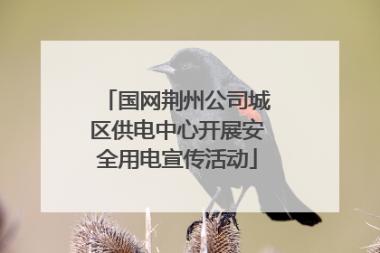 国网荆州公司城区供电中心开展安全用电宣传活动