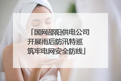 国网邵阳供电公司开展雨后防汛特巡 筑牢电网安全防线