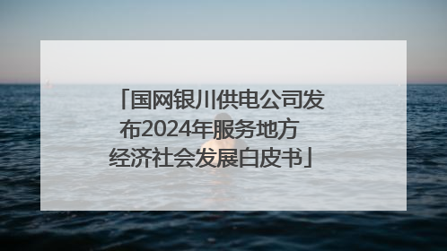 国网银川供电公司发布2024年服务地方经济社会发展白皮书