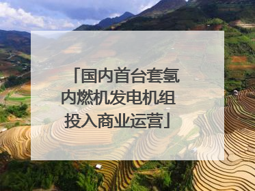 国内首台套氢内燃机发电机组投入商业运营