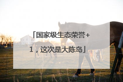 国家级生态荣誉+1，这次是大陈岛