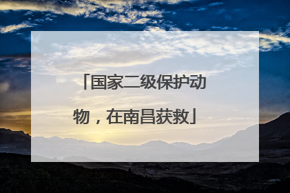 国家二级保护动物，在南昌获救