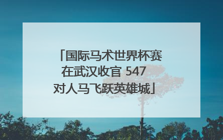 国际马术世界杯赛在武汉收官 547对人马飞跃英雄城