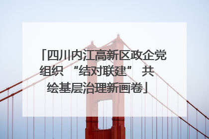 四川内江高新区政企党组织 “结对联建” 共绘基层治理新画卷