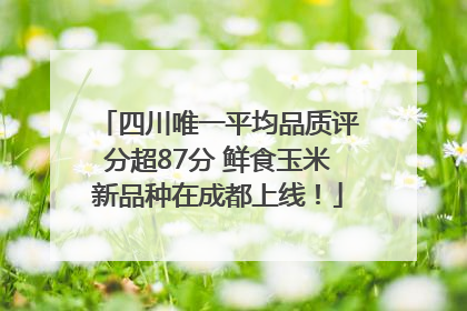 四川唯一平均品质评分超87分 鲜食玉米新品种在成都上线！