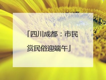 四川成都：市民赏民俗迎端午