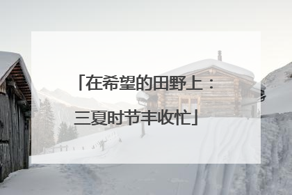 在希望的田野上：三夏时节丰收忙