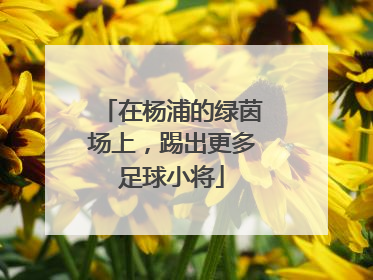 在杨浦的绿茵场上，踢出更多足球小将