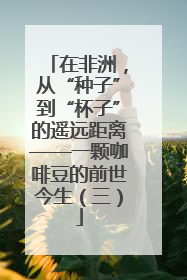 在非洲，从“种子”到“杯子”的遥远距离——一颗咖啡豆的前世今生（三）