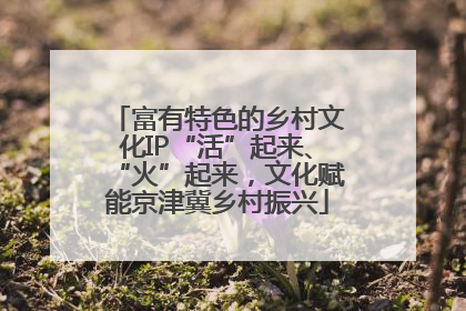 富有特色的乡村文化IP“活”起来、“火”起来，文化赋能京津冀乡村振兴