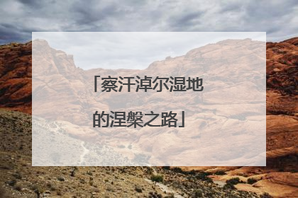 察汗淖尔湿地的涅槃之路
