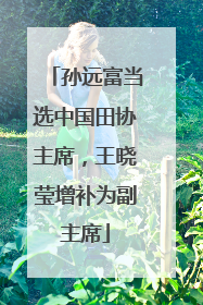 孙远富当选中国田协主席，王晓莹增补为副主席