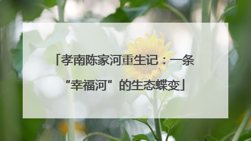 孝南陈家河重生记：一条“幸福河”的生态蝶变