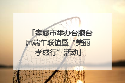 孝感市举办台胞台属端午联谊暨“美丽孝感行”活动