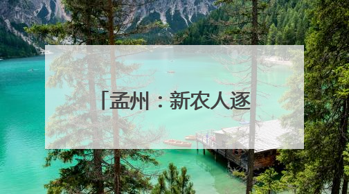 孟州：新农人逐梦田野 绘就乡村振兴“丰收曲”