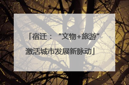 宿迁：“文物+旅游”激活城市发展新脉动