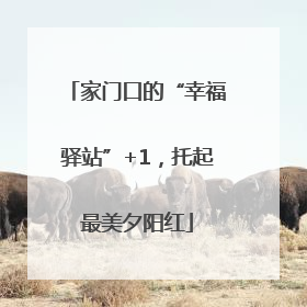 家门口的“幸福驿站”+1，托起最美夕阳红