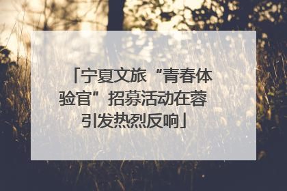 宁夏文旅“青春体验官”招募活动在蓉引发热烈反响