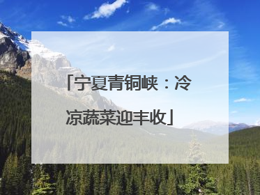 宁夏青铜峡：冷凉蔬菜迎丰收
