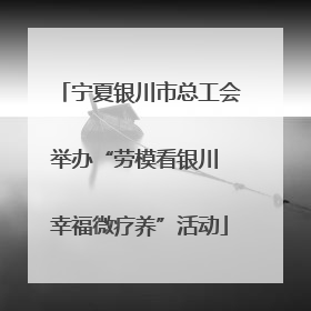 宁夏银川市总工会举办“劳模看银川 幸福微疗养”活动