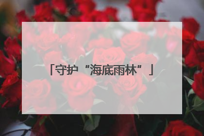 守护“海底雨林”