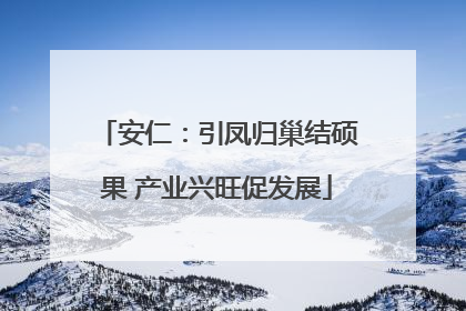 安仁：引凤归巢结硕果 产业兴旺促发展
