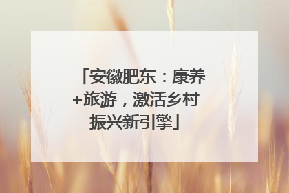安徽肥东：康养+旅游，激活乡村振兴新引擎