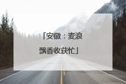 安徽：麦浪飘香收获忙
