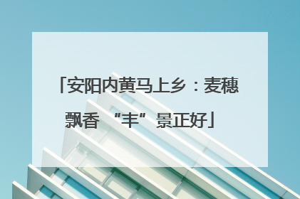 安阳内黄马上乡：麦穗飘香 “丰”景正好