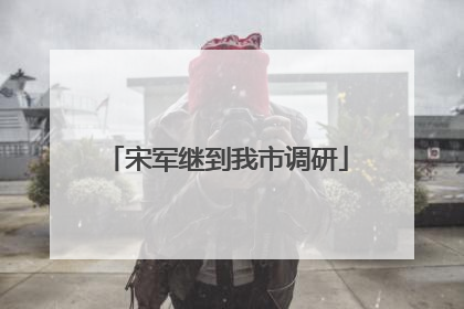 宋军继到我市调研