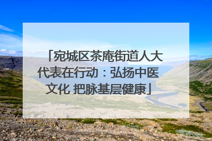 宛城区茶庵街道人大代表在行动：弘扬中医文化 把脉基层健康