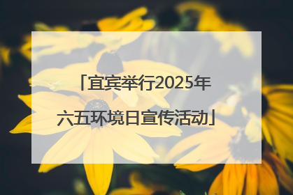 宜宾举行2025年六五环境日宣传活动