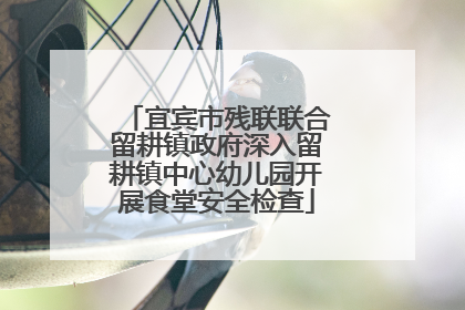 宜宾市残联联合留耕镇政府深入留耕镇中心幼儿园开展食堂安全检查