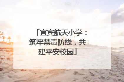 宜宾航天小学：筑牢禁毒防线，共建平安校园