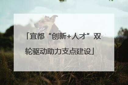 宜都“创新+人才”双轮驱动助力支点建设