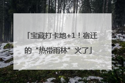 宝藏打卡地+1！宿迁的“热带雨林”火了