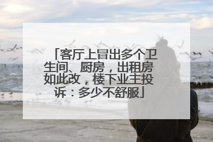 客厅上冒出多个卫生间、厨房，出租房如此改，楼下业主投诉：多少不舒服