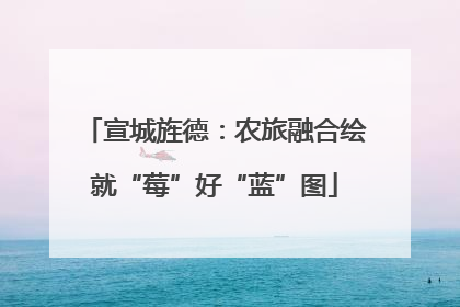 宣城旌德：农旅融合绘就“莓”好“蓝”图