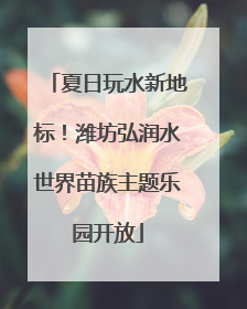 夏日玩水新地标！潍坊弘润水世界苗族主题乐园开放