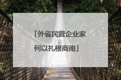 外省民营企业家何以扎根商南