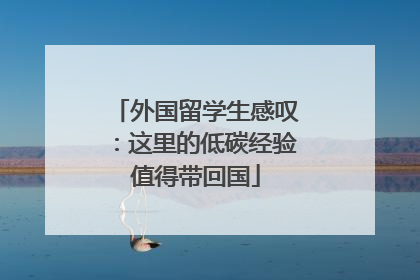 外国留学生感叹：这里的低碳经验值得带回国
